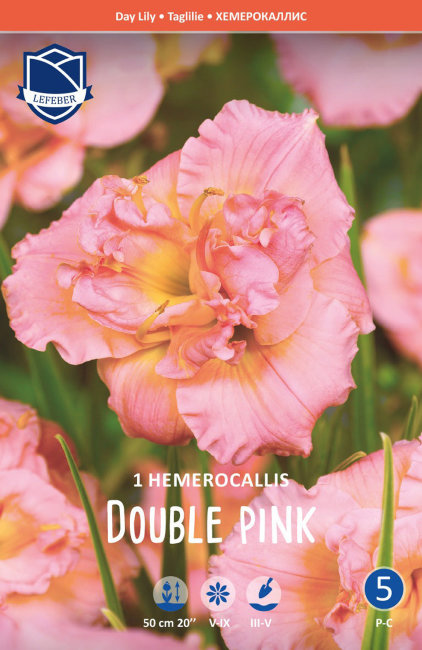 Лилейник Дабл Пинк (Double Pink), 1 шт