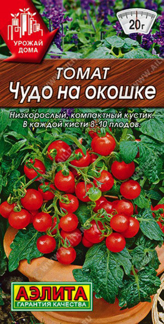 Томат Чудо на окошке, 20 шт семян