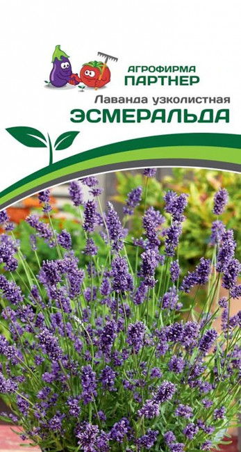 Лаванда узколистная Эсмеральда, 0.05 г