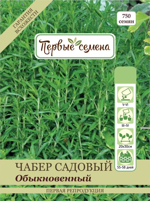 Чабер садовый Оыкновенный