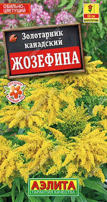 Золотарник Жозефина, 0.05 г