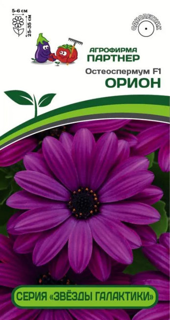 Остеоспермум Орион F1, 3 шт семян