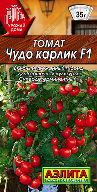 Томат Чудо карлик F1, 10 шт семян