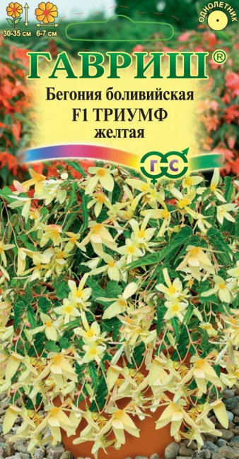 Бегония Триумф желтый боливийская F1, 4 шт семян