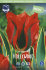 Тюльпан Голливуд (Tulipa Hollywood), 10 шт (разбор 12/14)