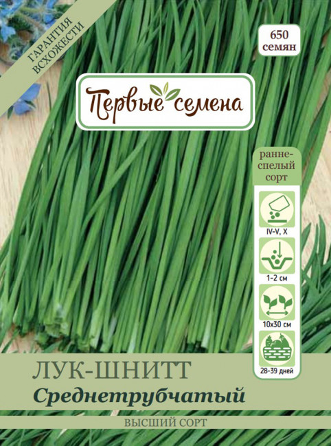 Лук-шнитт Среднетрубчатый, 1 г