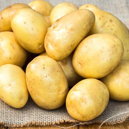 Картофель семенной Брянский деликатес (2 кг)