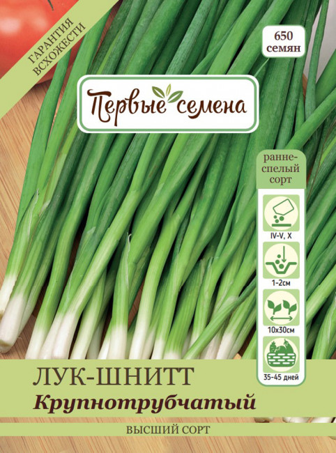 Лук-шнитт Крупнотрубчатый, 1 г