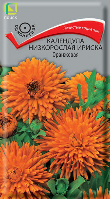 Календула низкорослая Ириска Оранжевая, 10 шт семян