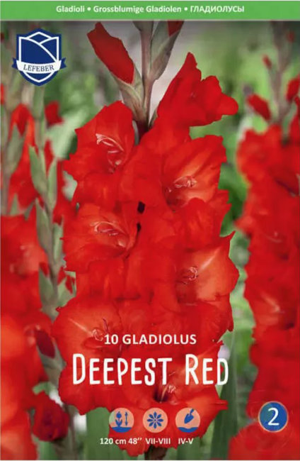 Гладиолус Дипест Ред (Deepest Red), 10 шт