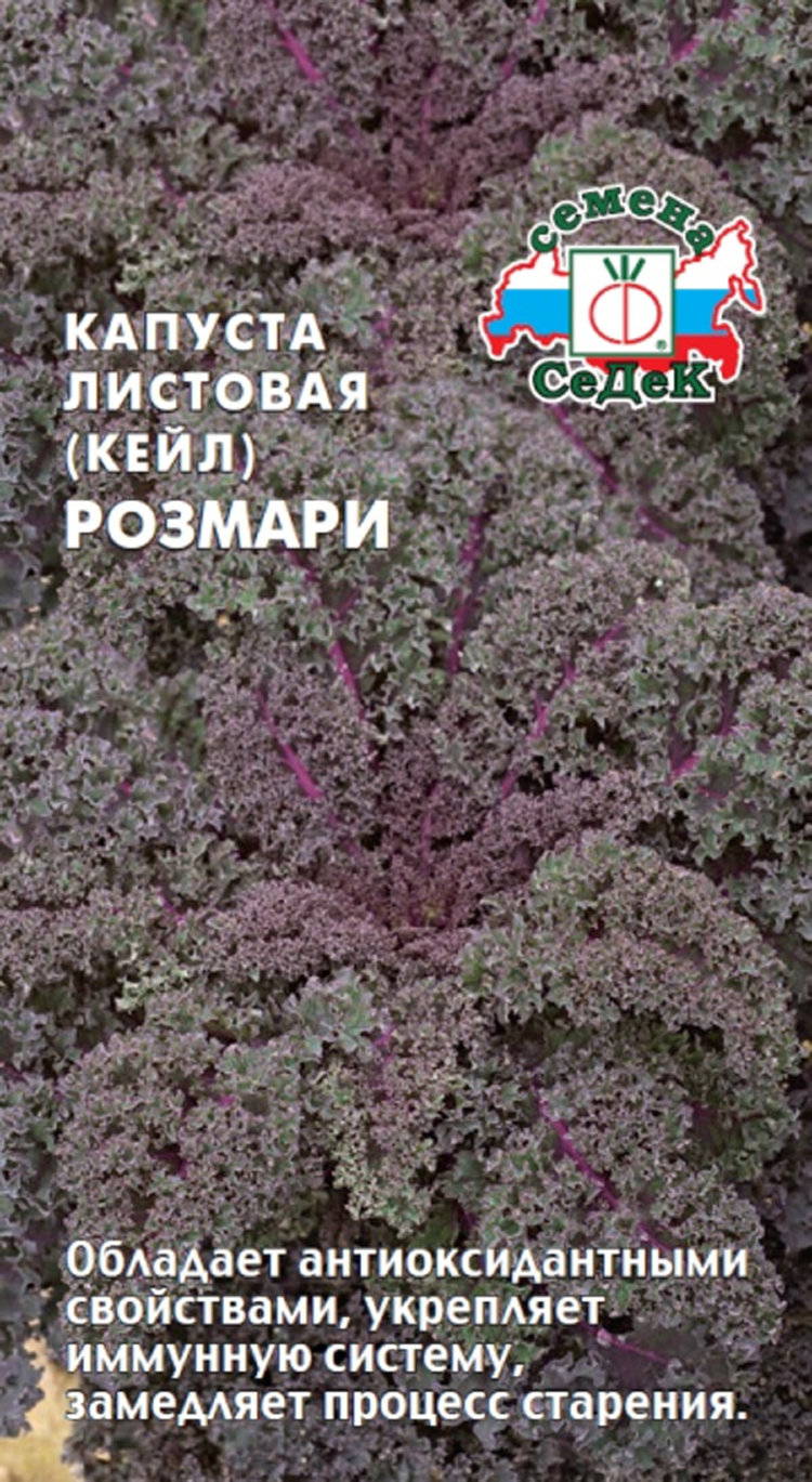 Капуста Листовая Кале Купить Семена