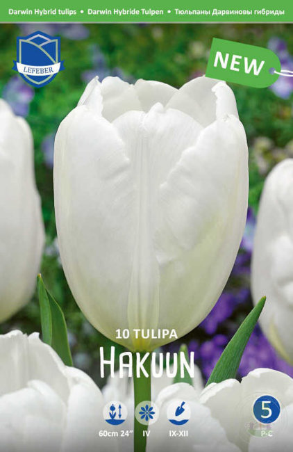 Тюльпан Хакуун (Tulipa Hakuun), 10 шт (разбор 12/14)