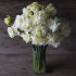 Нарцисс Обдам (Narcissus Obdam), 5 шт (разбор 12/14)