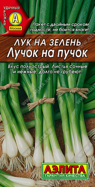 Лук на зелень Лучок на пучок, 0.5 г