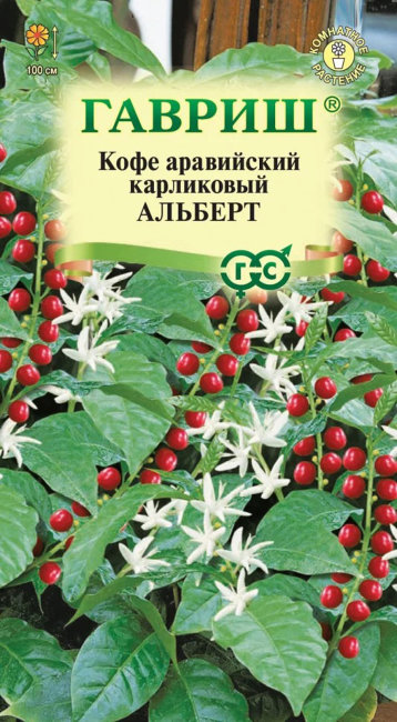 Кофе аравийский Альберт, 5 шт семян
