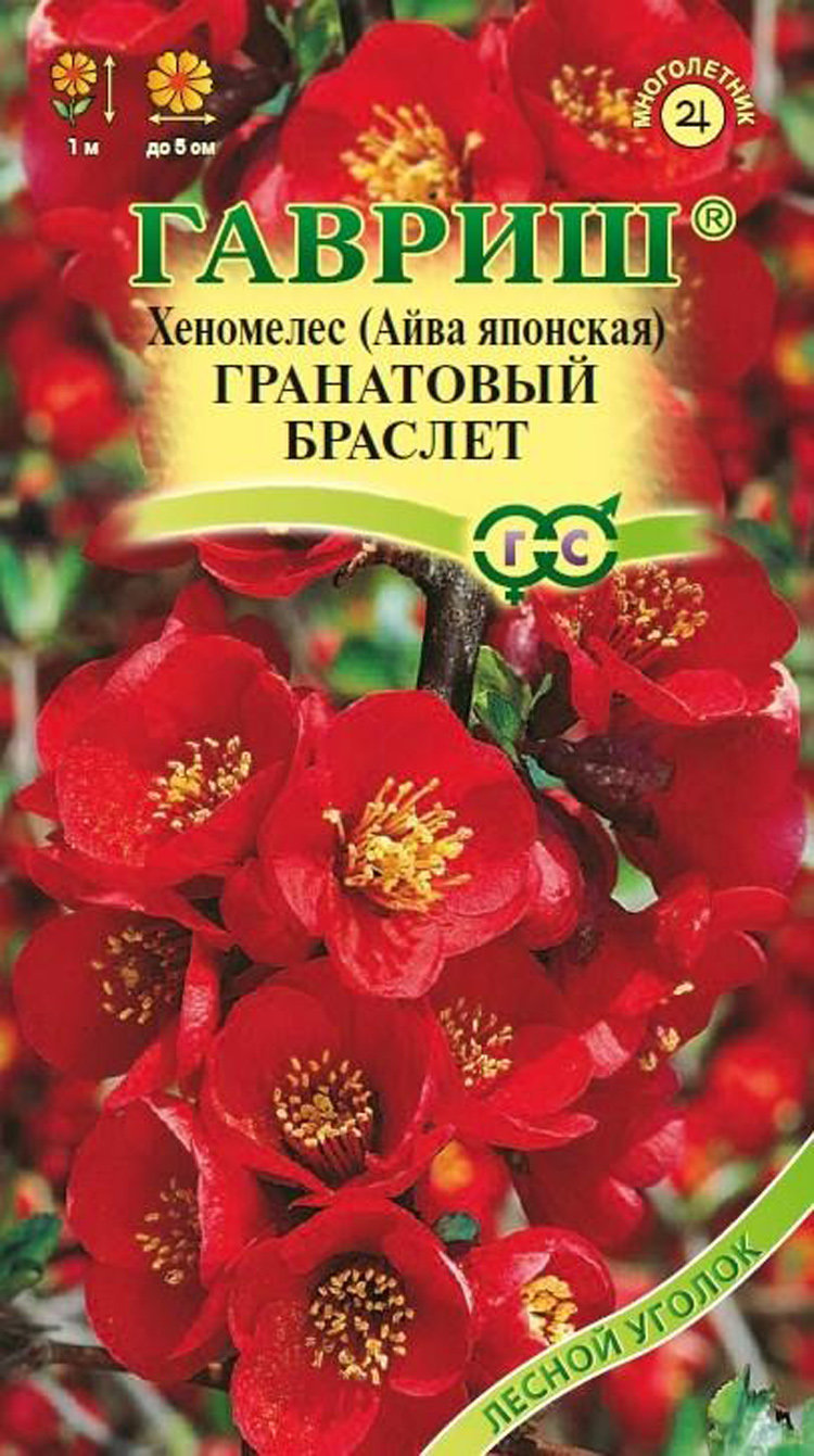 Купить хеномелес (айва японская) гранатовый браслет, 0.3 г по цене 49 руб.  в интернет магазине Первые Семена