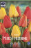 Тюльпан Дарвинов гибрид смесь (Tulipa Darwin Hybrid mix), 15 шт (разбор 14/16!)