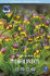 Рябчик Михайловского (Fritillaria michailovskyi), 10 шт (разбор 5/6)