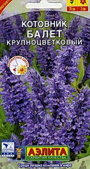 балет.jpg