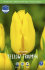 Тюльпан Йеллоу Триумф (Tulipa Yellow Triumph), 25 шт (разбор 11/12)