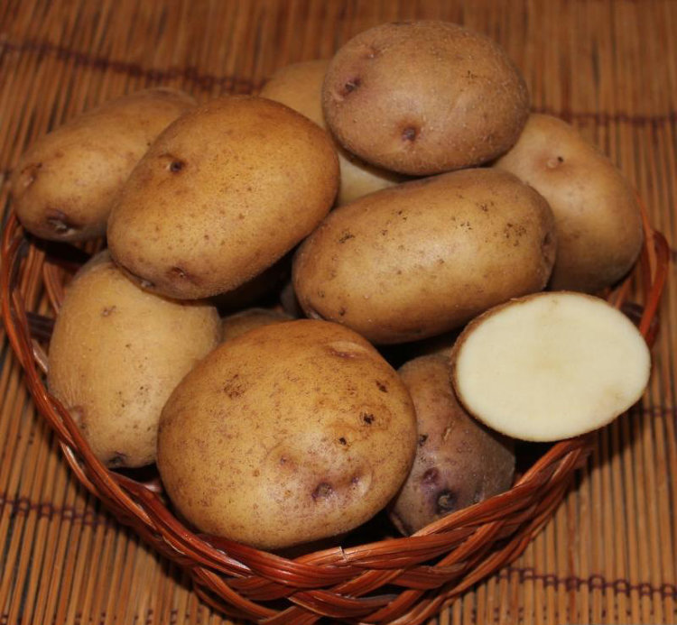 семена картошки синеглазки