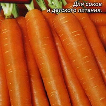 Морковь Проще простого