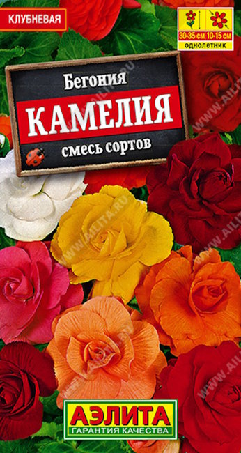 Бегония крупноцветковая Камелия, смесь, 10 шт семян