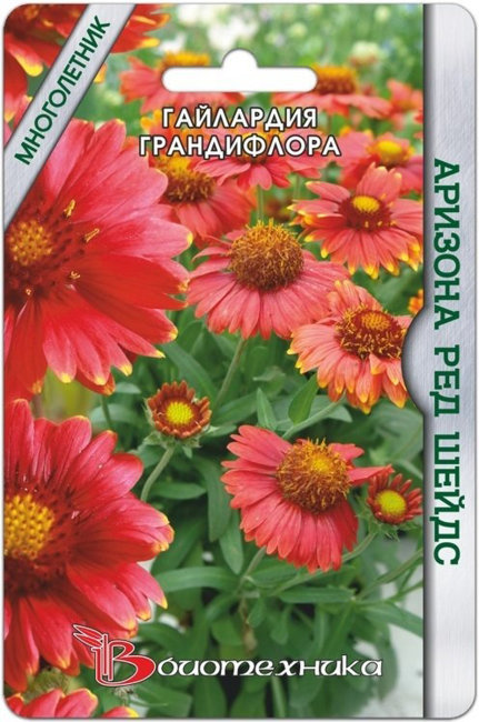 Гайлардия грандифлора Аризона Ред Шейдс, 8 шт семян