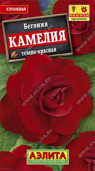Бегония крупноцветковая Камелия темно-красная, 10 шт семян