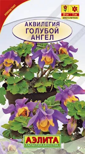 Аквилегия Голубой ангел, 10 шт семян