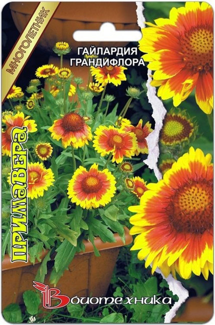 Гайлардия грандифлора Примавера, 8 шт семян