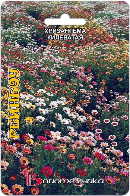 Хризантема килевая смесь расцветок Рейнбоу, 100 шт семян