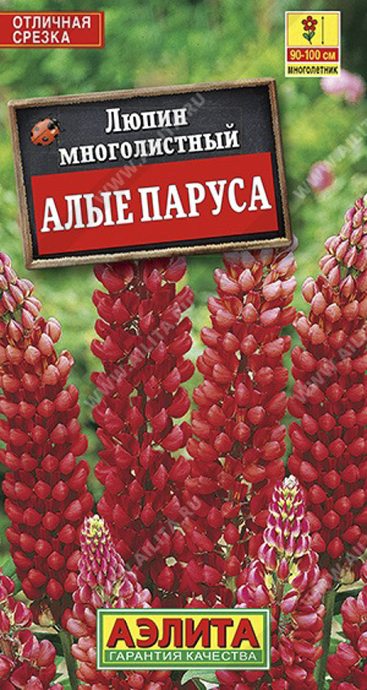 Купить семена Люпин Алые паруса красный многолетний в магазине Первые  Семена по цене 39 руб.