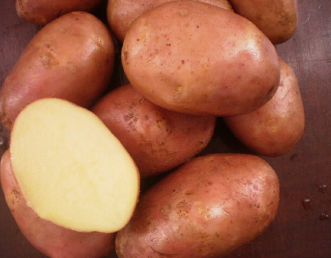 Картофель семенной Ильинский (2 кг)