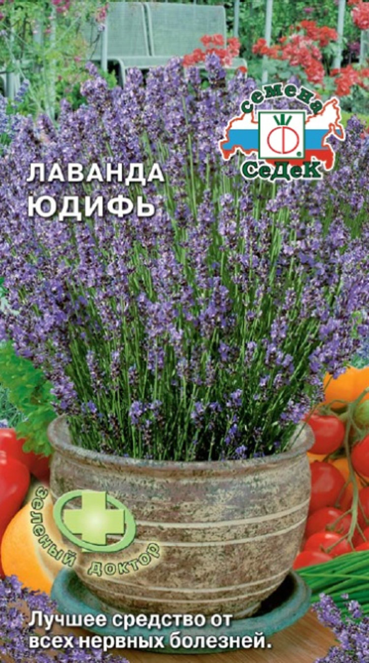 Семена Седек Купить В Спб