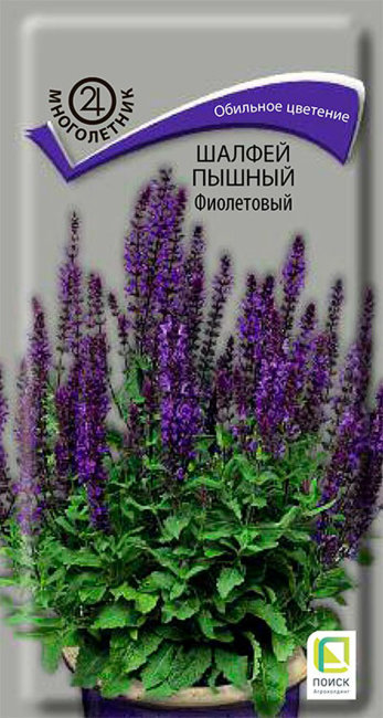 Шалфей (дубравный) пышный Фиолетовый, 0.1 г