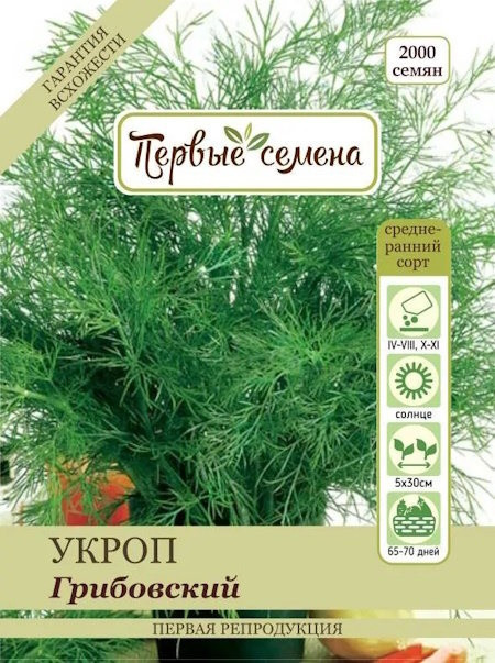 Укроп Грибовский