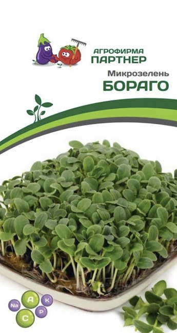Микрозелень Бораго, 4 г