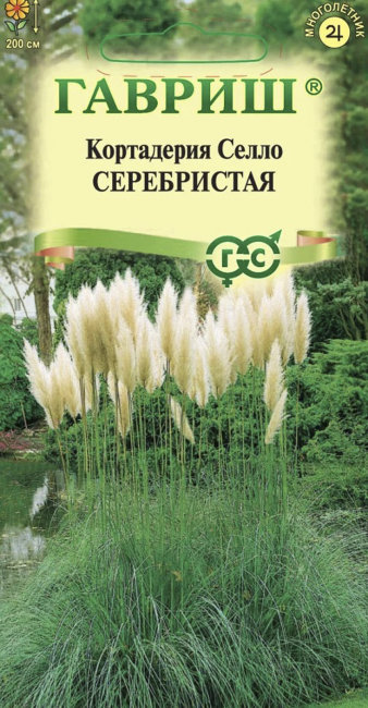 Кортадерия Селло серебристая (Пампасная трава), 8 шт семян