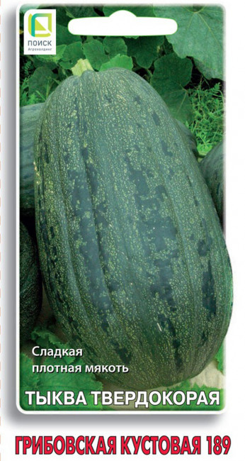 Тыква твердокорая Грибовская кустовая 189, 10 шт семян