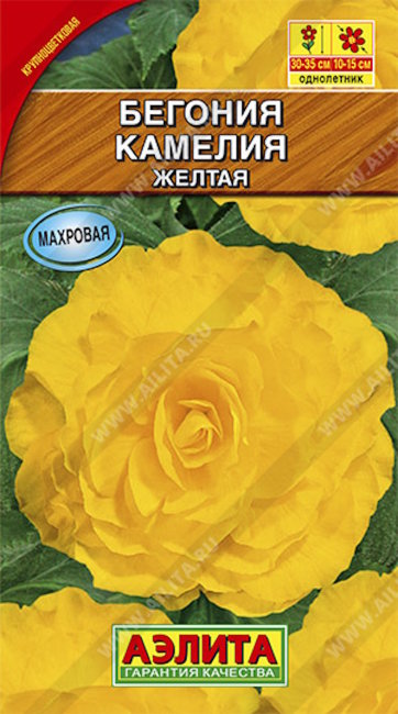 Бегония крупноцветковая Камелия желтая, 10 шт семян
