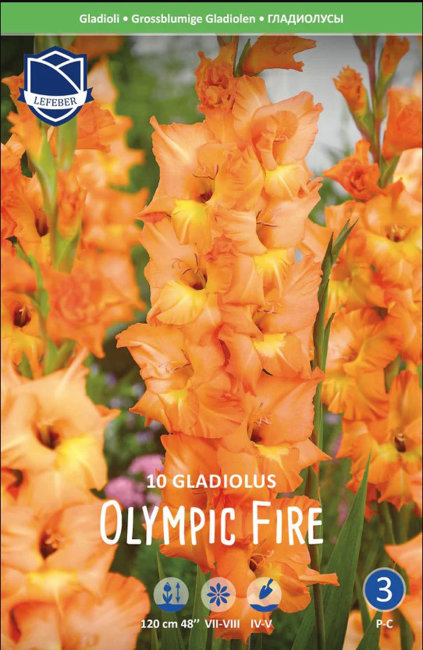 Гладиолус Олимпик Файер (Olympic Fire = Olympic  Flame), 10 шт