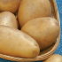 Картофель Лада F1 (семена)