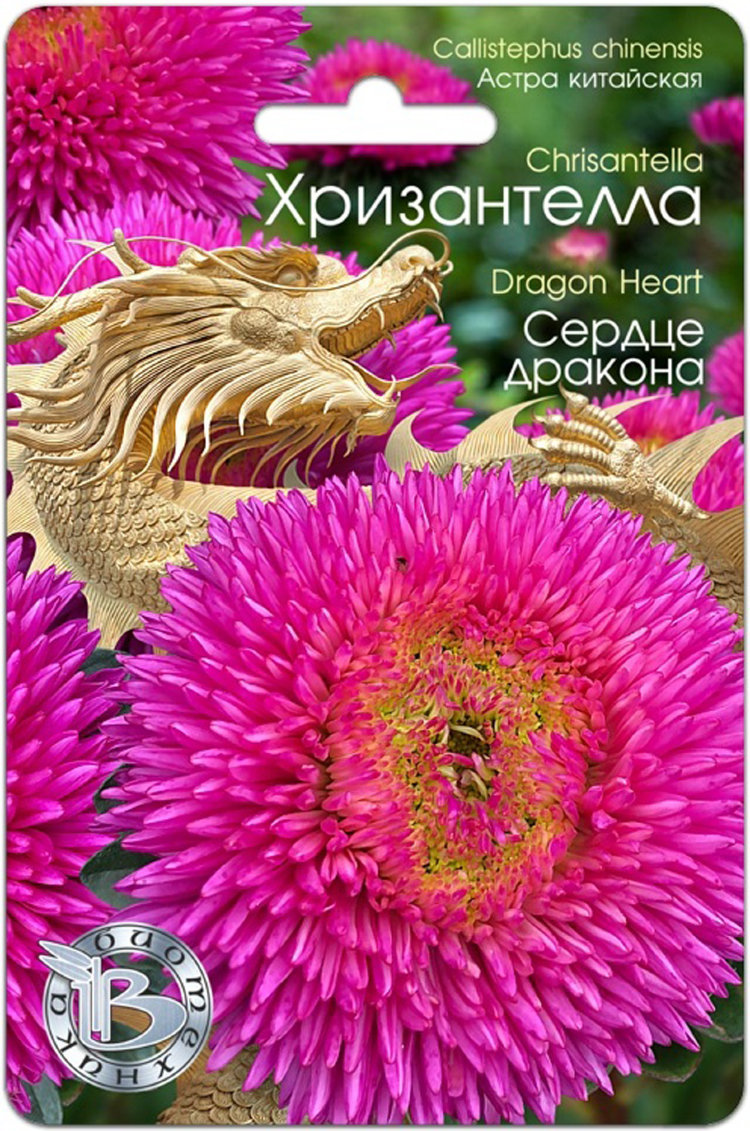 Хризантелла Китайская Купить Семена