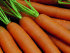 Морковь Детская сладость (драже), 300 шт