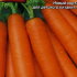 Морковь Нежность (драже)
