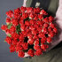 Тюльпан Памплона (Tulipa Pamplona), 10 шт (разбор 11/12)