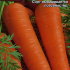 Морковь Лосиноостровская 13 (драже), 300 шт