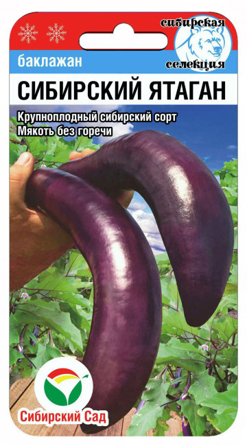 Баклажан Сибирский ятаган, 20 шт семян