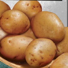 Картофель Реванш (семена)